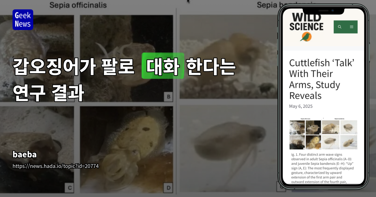 갑오징어의 다중 감각적 소통 방식: 해양 생물의 진화적 커뮤니케이션 탐구