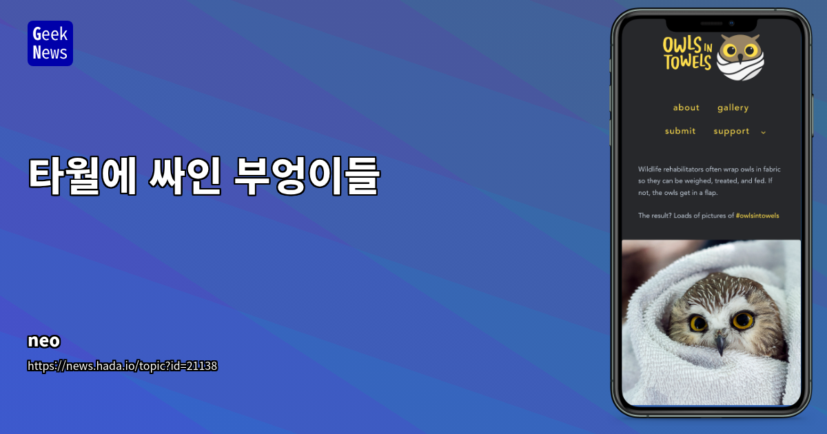 야생동물 재활과 기술의 만남: #owlsintowels 해시태그로 본 온라인 커뮤니티와 긍정적 메시지 확산