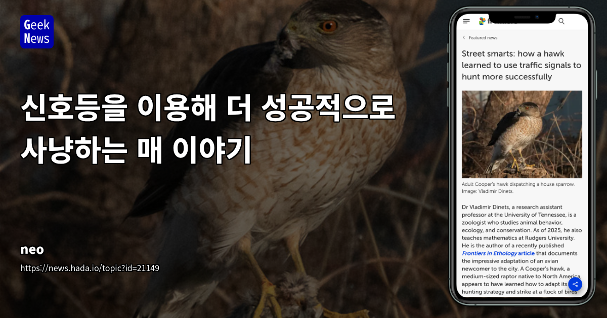 신호등을 이용해 더 성공적으로 사냥하는 매 이야기 | GeekNews