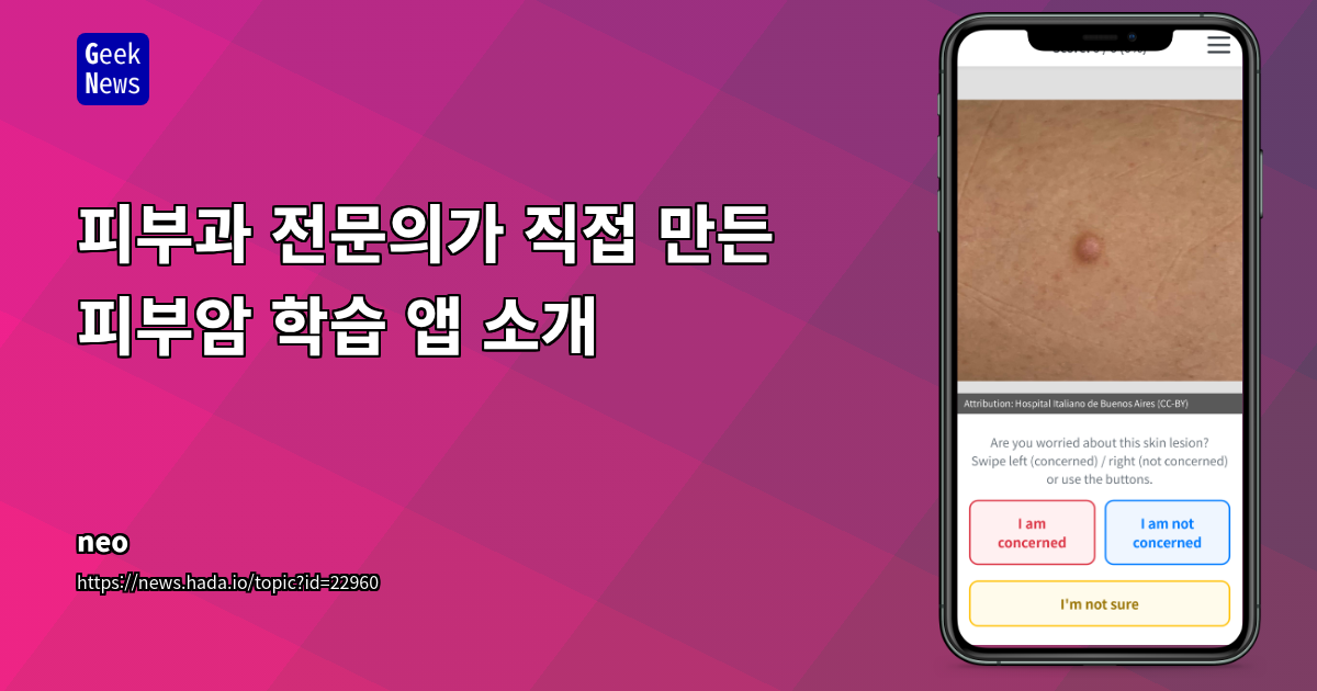 피부암 학습 웹앱: AI 코딩으로 아이디어를 현실로, 개발자들의 DIY 혁신