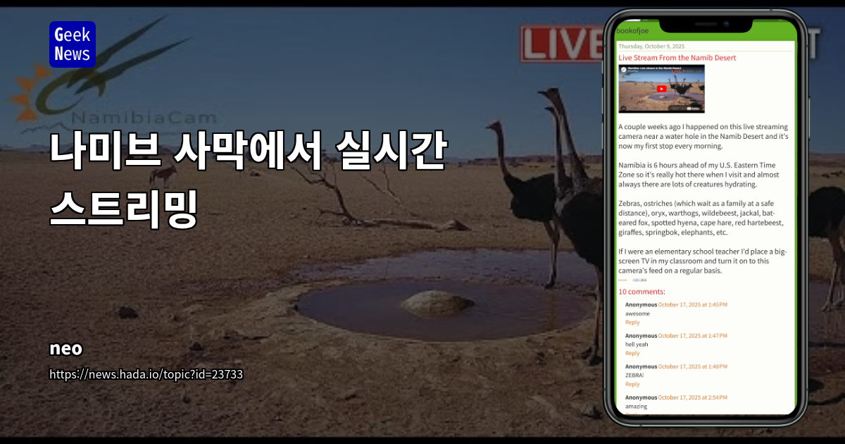 나미브 사막에서 실시간 스트리밍