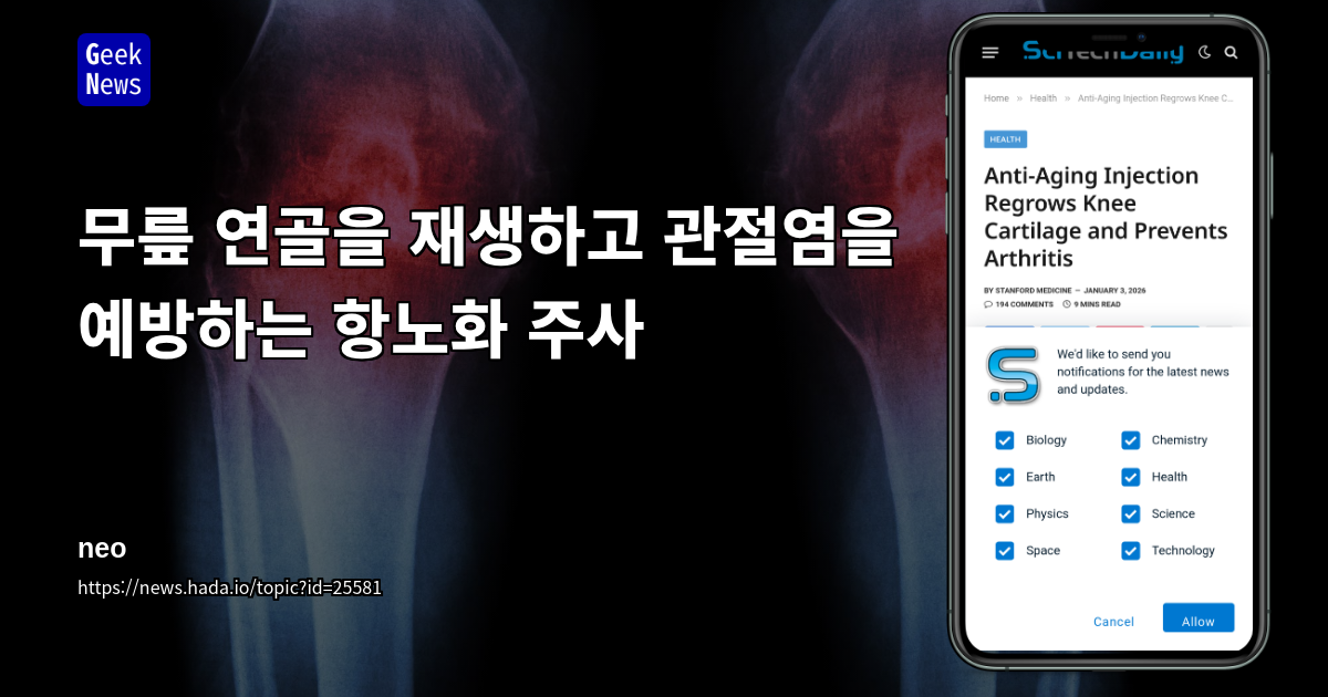 무릎 연골을 재생하고 관절염을 예방하는 항노화 주사