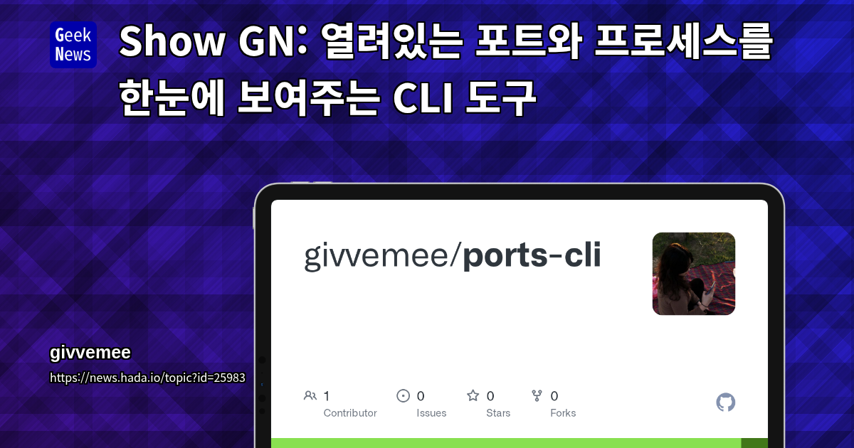 열려있는 포트와 프로세스를 한눈에 보여주는 CLI 도구 | GeekNews