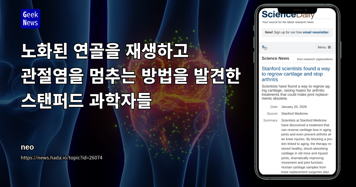 노화된 연골을 재생하고 관절염을 멈추는 방법을 발견한 스탠퍼드 과학자들