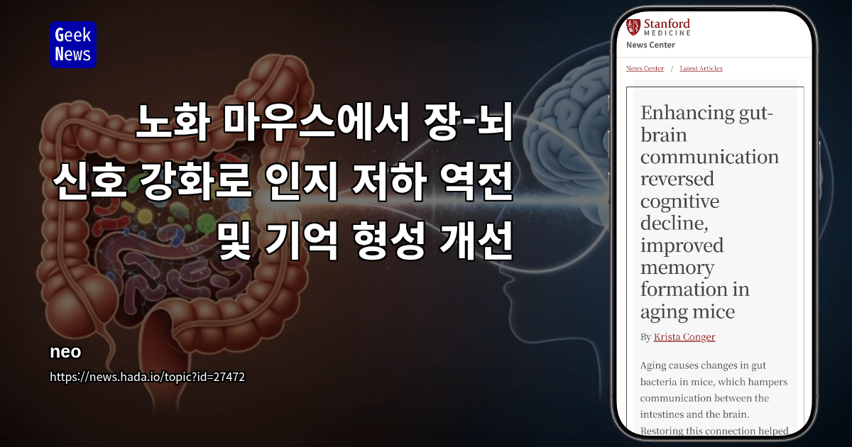노화 마우스에서 장-뇌 신호 강화로 인지 저하 역전 및 기억 형성 개선