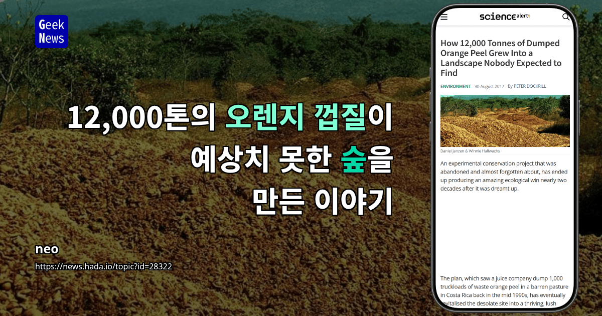 12,000톤의 오렌지 껍질이 예상치 못한 숲을 만든 이야기
