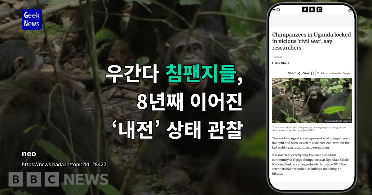우간다 침팬지들, 8년째 이어진 ‘내전’ 상태 관찰