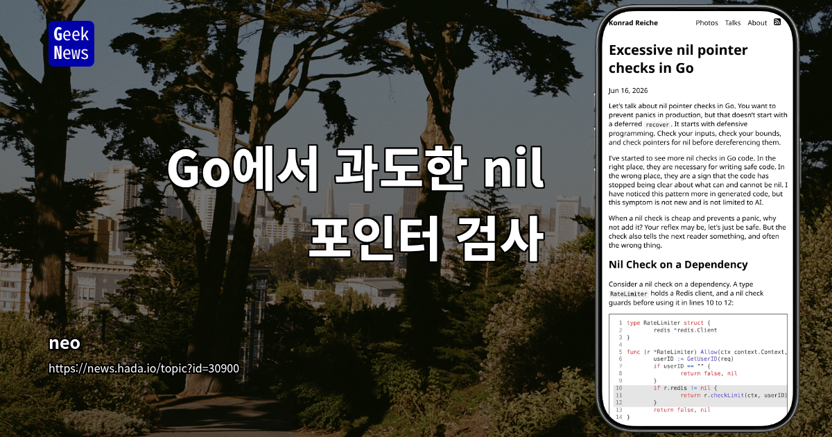 Go에서 과도한 nil 포인터 검사