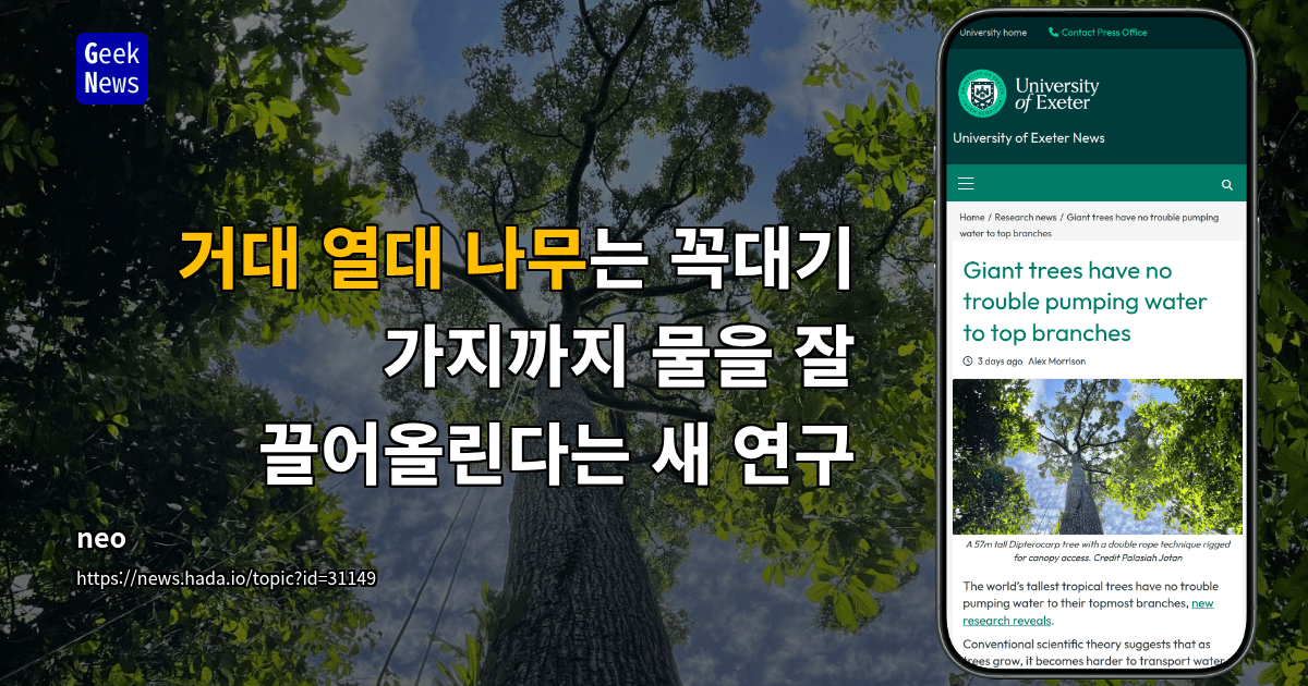 거대 열대 나무는 꼭대기 가지까지 물을 잘 끌어올린다는 새 연구