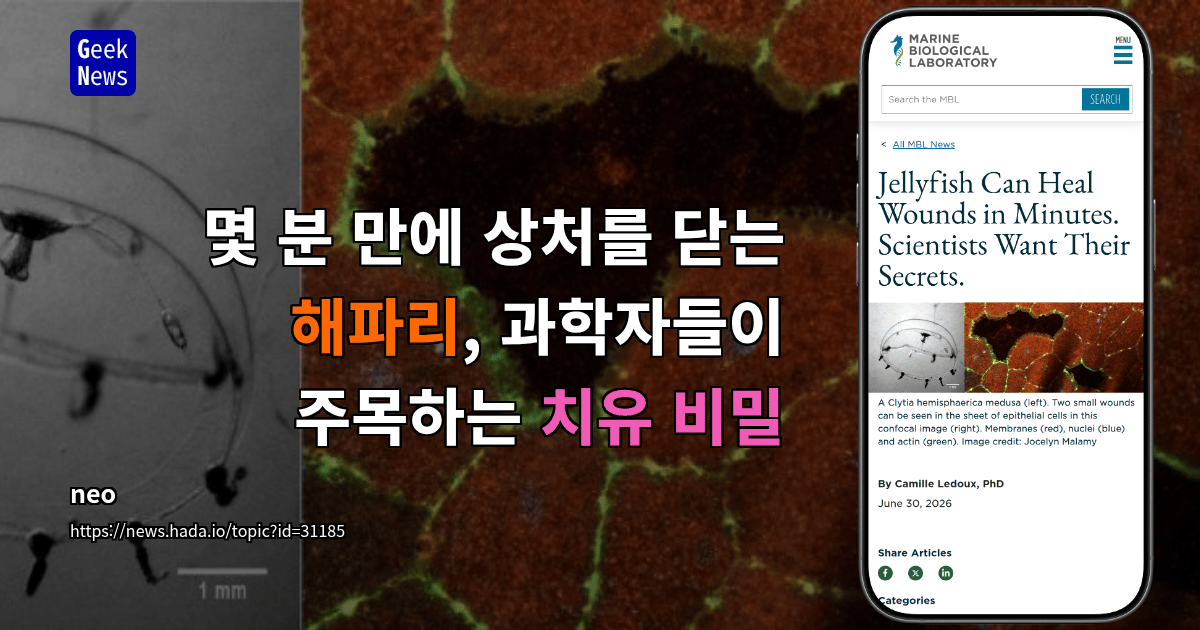 몇 분 만에 상처를 닫는 해파리, 과학자들이 주목하는 치유 비밀