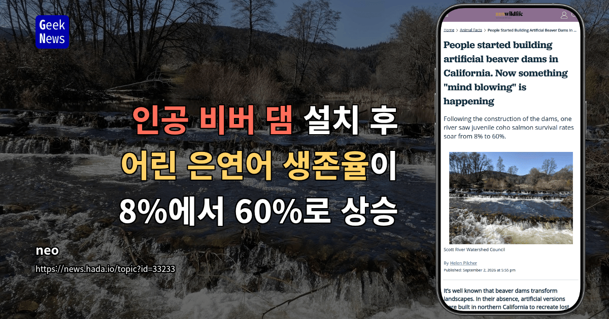 인공 비버 댐 설치 후 어린 은연어 생존율이 8%에서 60%로 상승