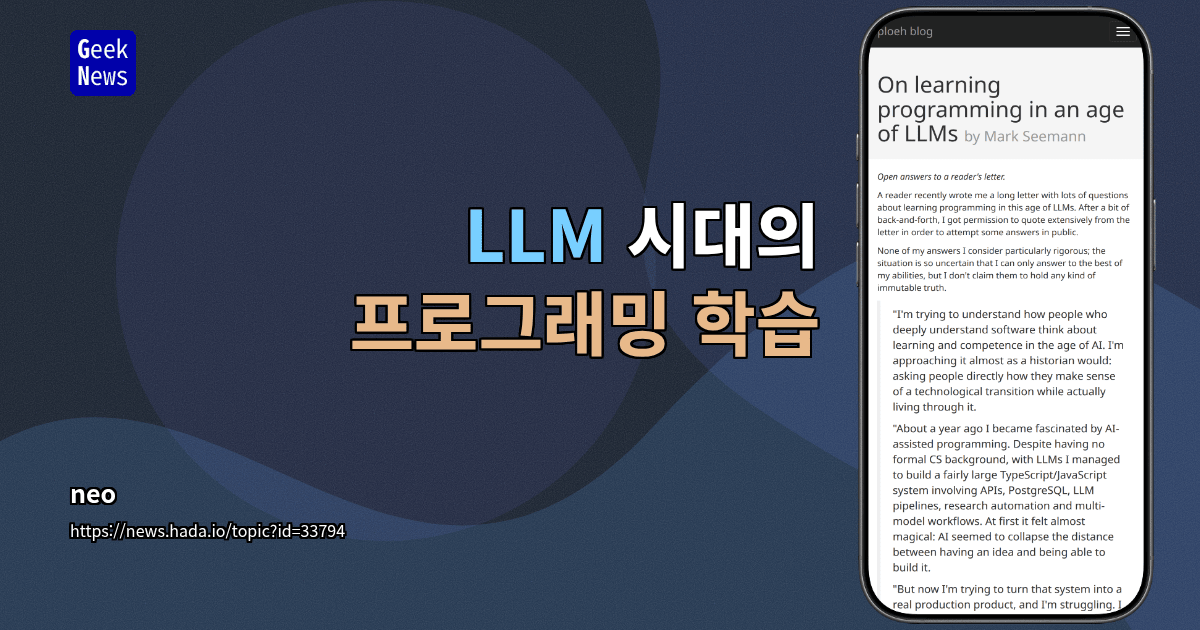 LLM 시대의 프로그래밍 학습 대표 이미지