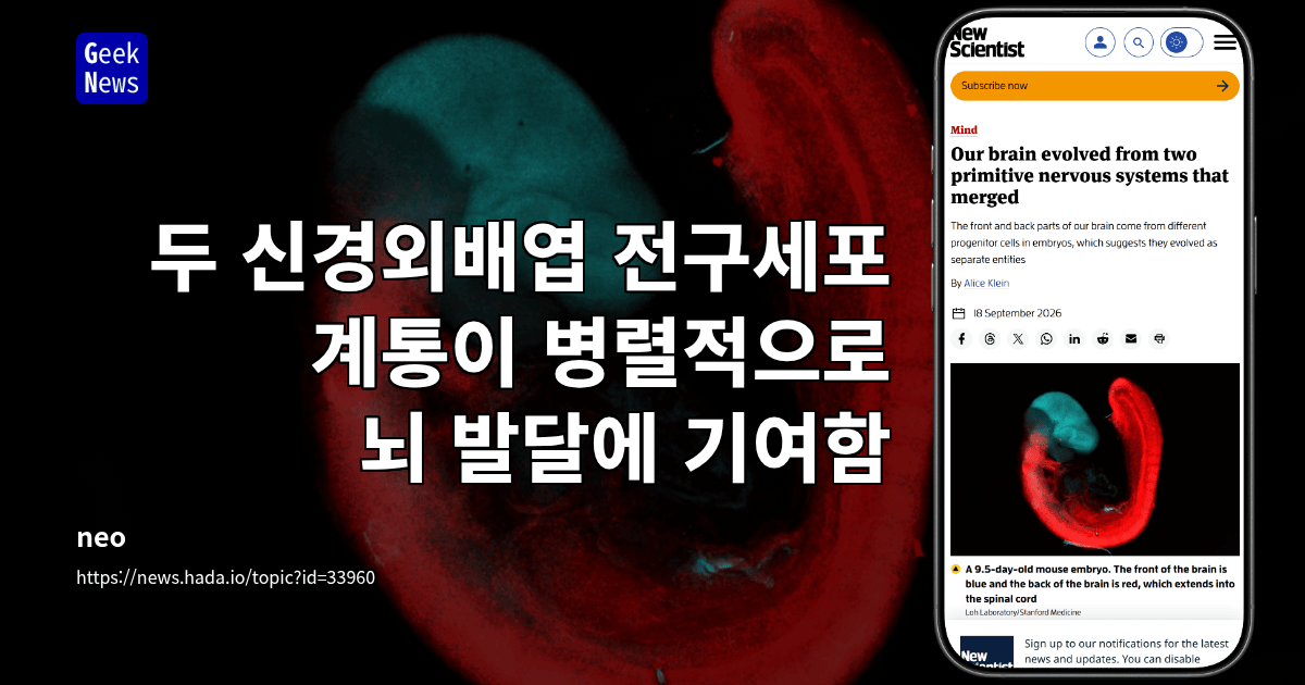 두 신경외배엽 전구세포 계통이 병렬적으로 뇌 발달에 기여함