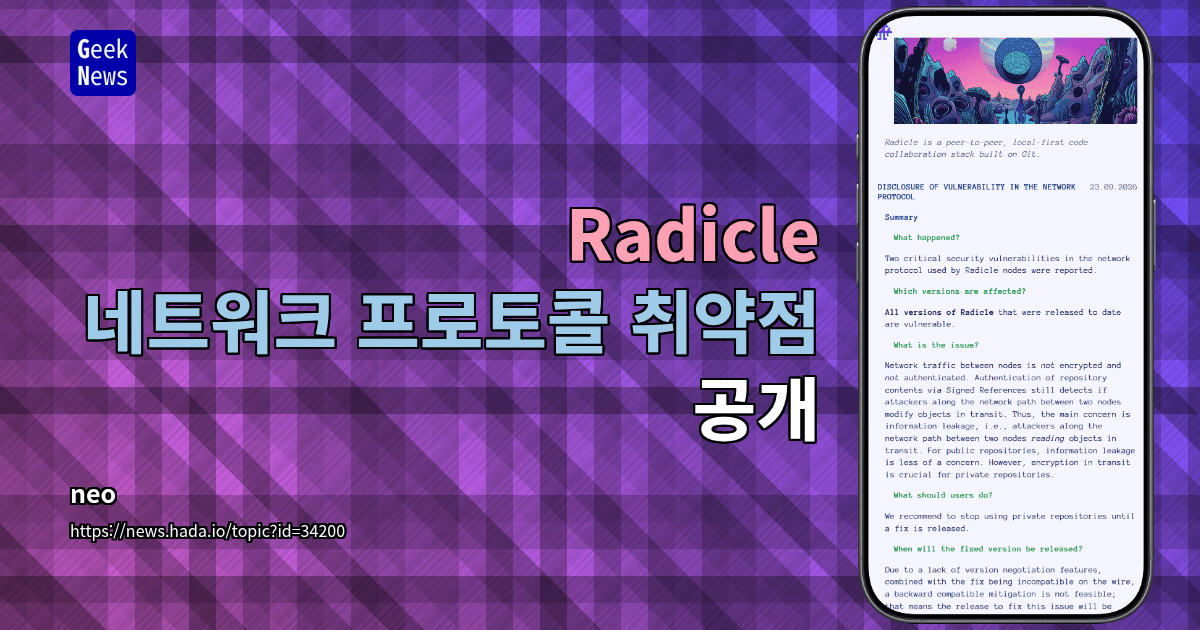 Radicle: 네트워크 프로토콜 취약점 공개