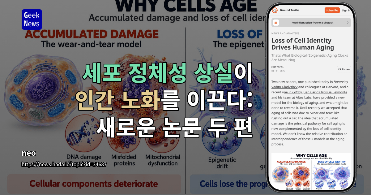 세포 정체성 상실이 인간 노화를 이끈다: 새로운 논문 두 편