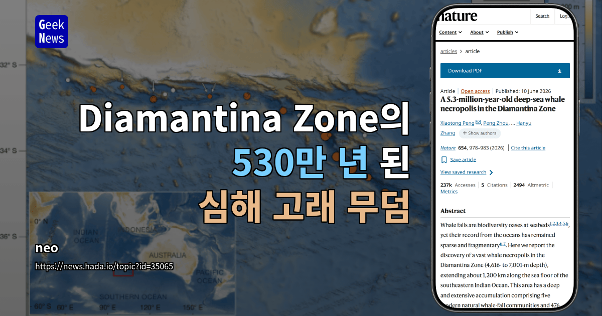 Diamantina Zone의 530만 년 된 심해 고래 무덤