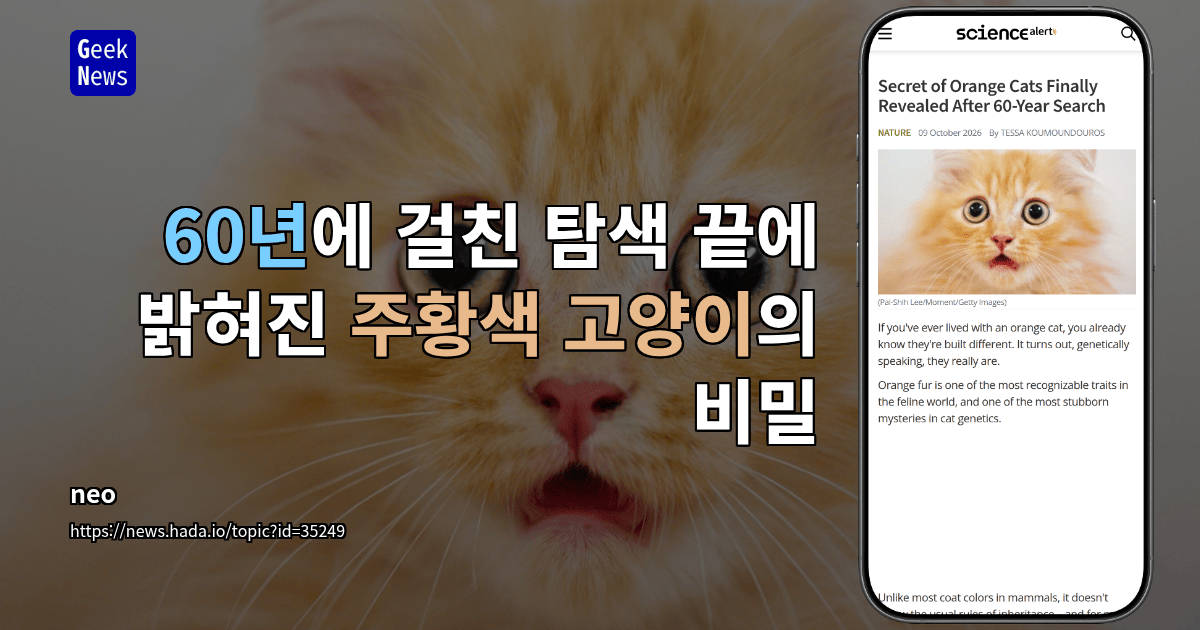 60년에 걸친 탐색 끝에 밝혀진 주황색 고양이의 비밀