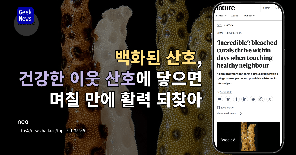 백화된 산호, 건강한 이웃 산호에 닿으면 며칠 만에 활력 되찾아