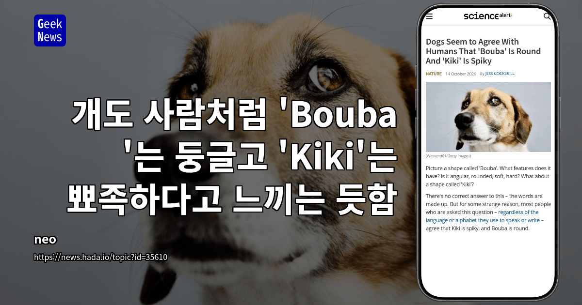 개도 사람처럼 'Bouba'는 둥글고 'Kiki'는 뾰족하다고 느끼는 듯함